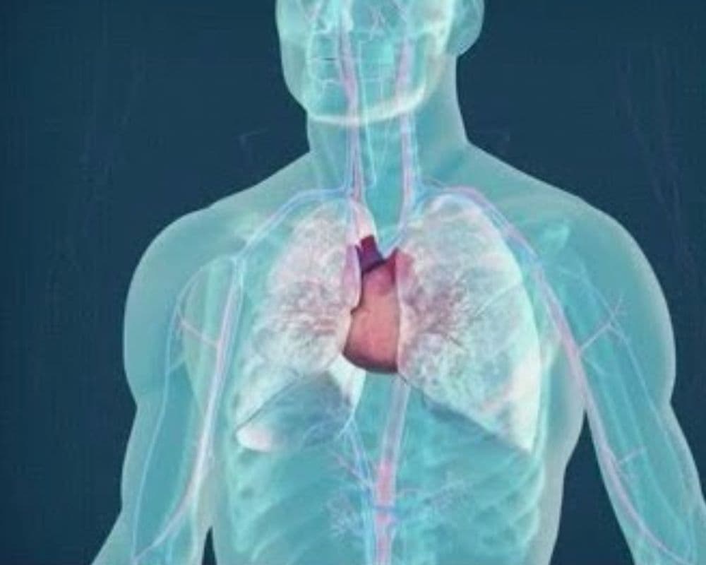 طب الرضوض وجراحة العظام